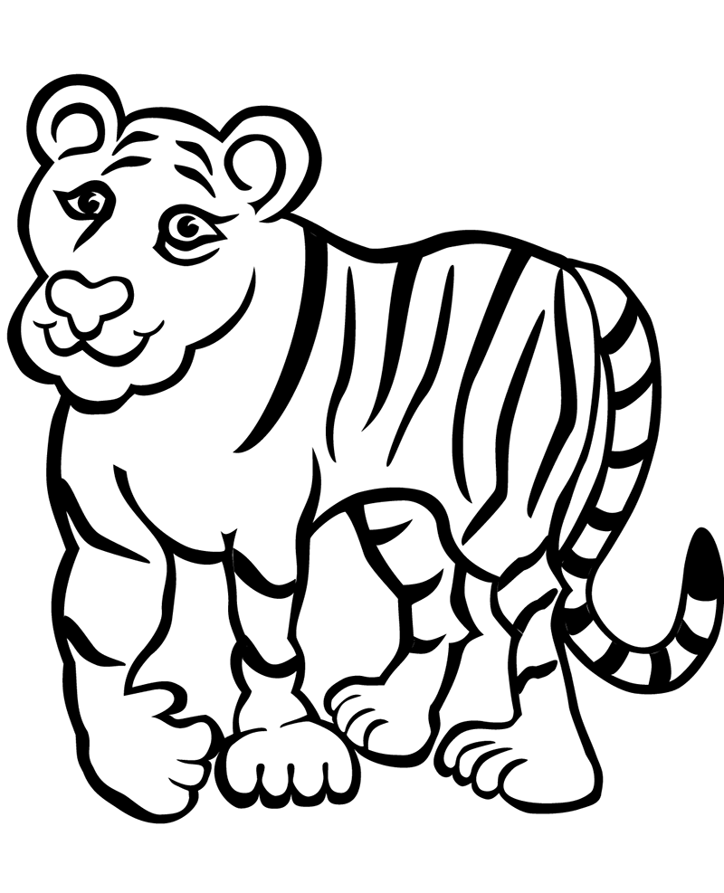 也很少攻击人类,而人类的狩猎目标经常是无辜的它们,最后导致巴厘虎