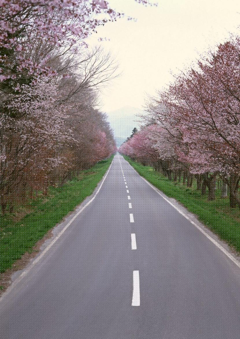 高速公路图片