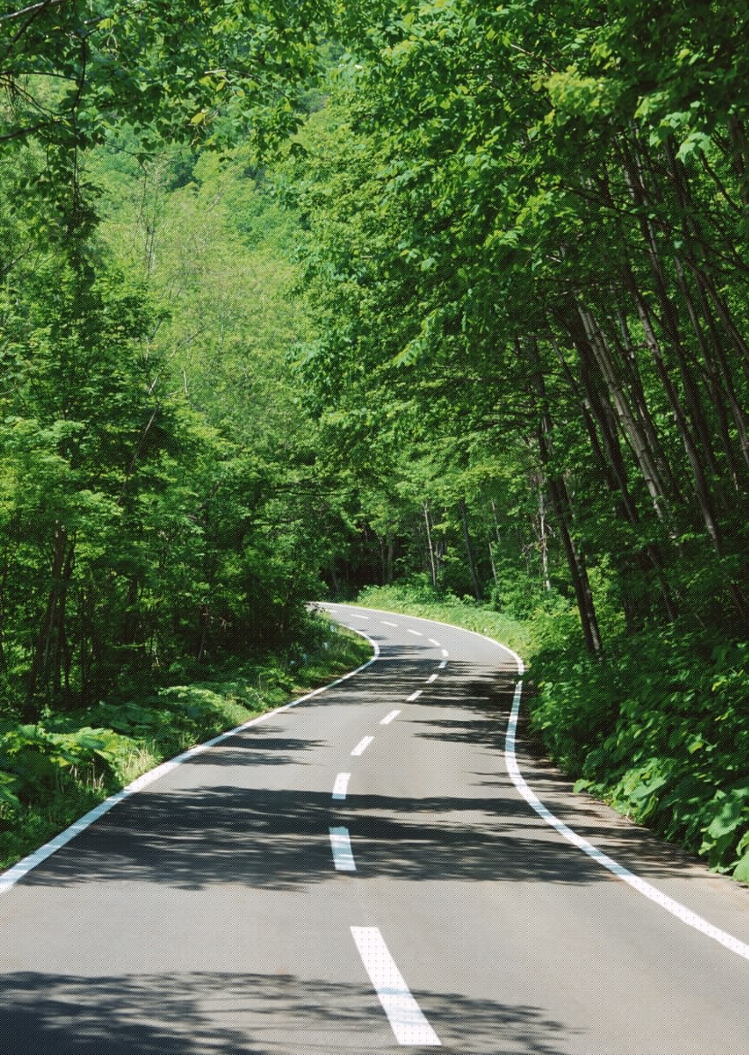 高速公路图片