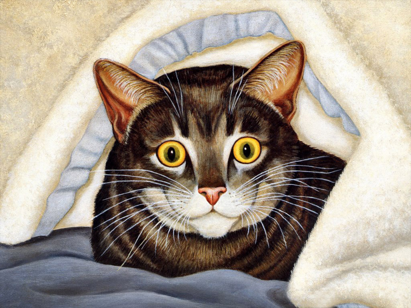手绘猫咪可爱图片