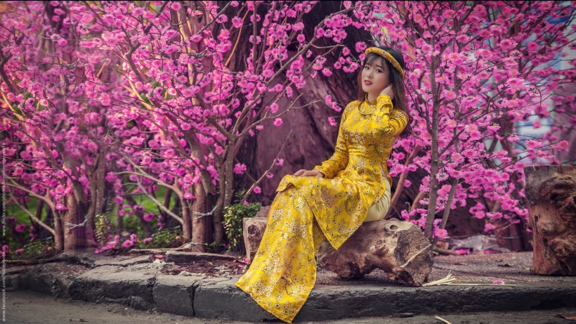 身穿旗袍的美女图片