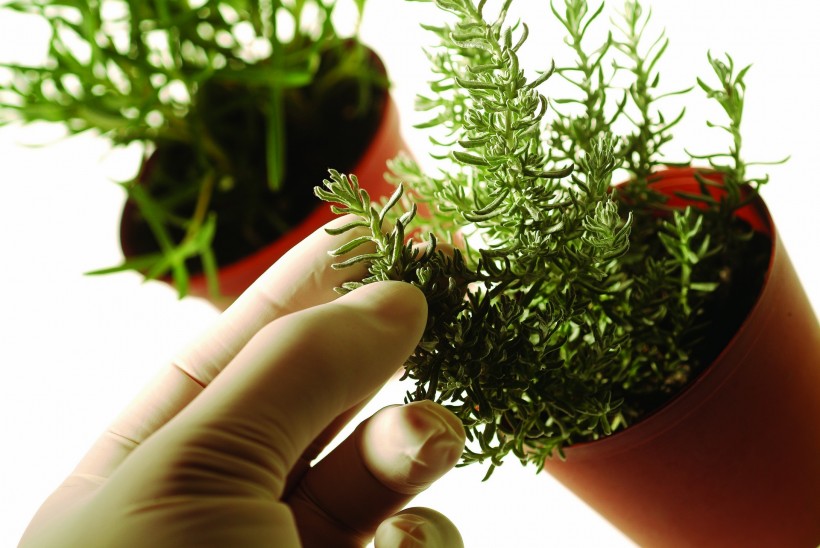 植物生化科技图片