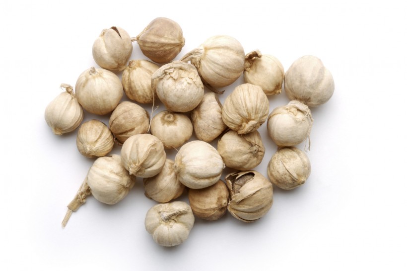 中药药材大全图片