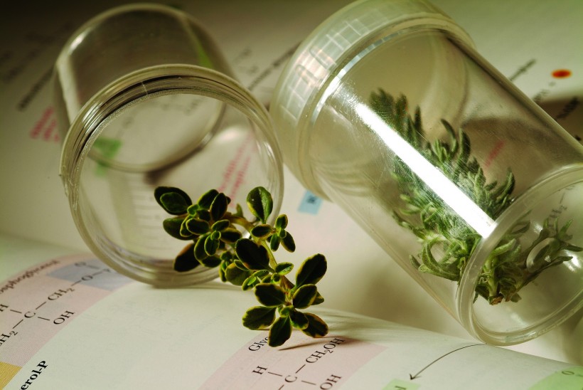 植物生化科技图片