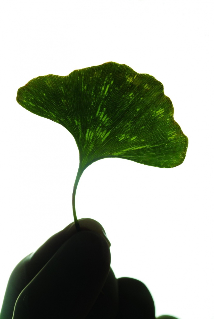 植物生化科技图片
