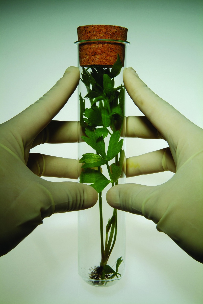 植物生化科技图片
