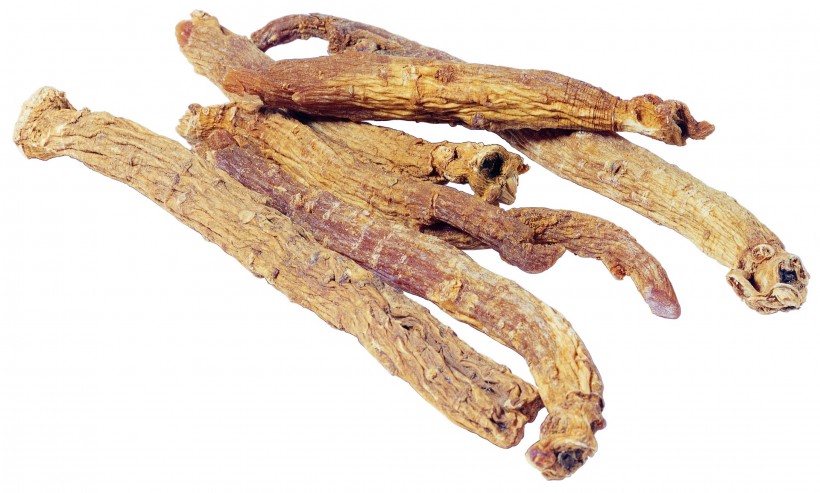 中药药材大全图片