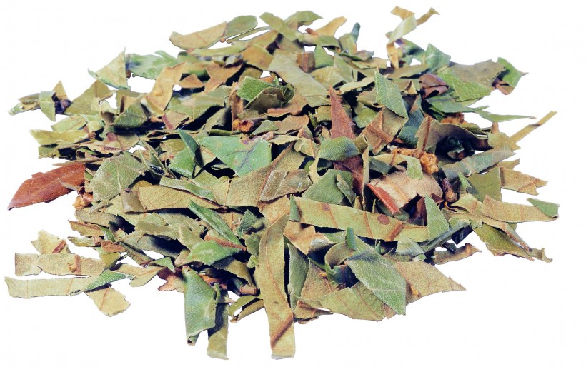 中药药材大全图片