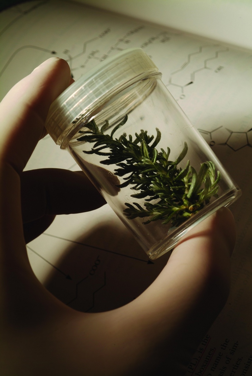 植物生化科技图片