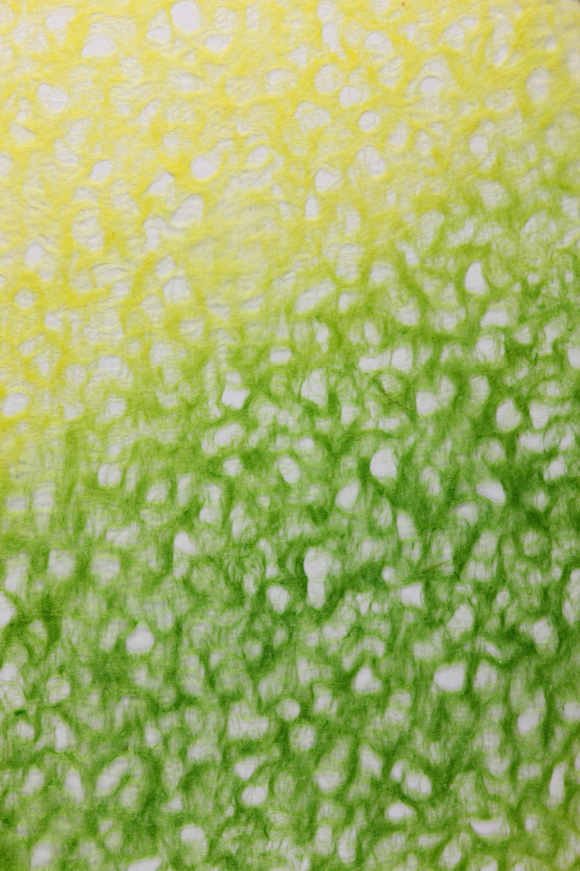 纸纹图片