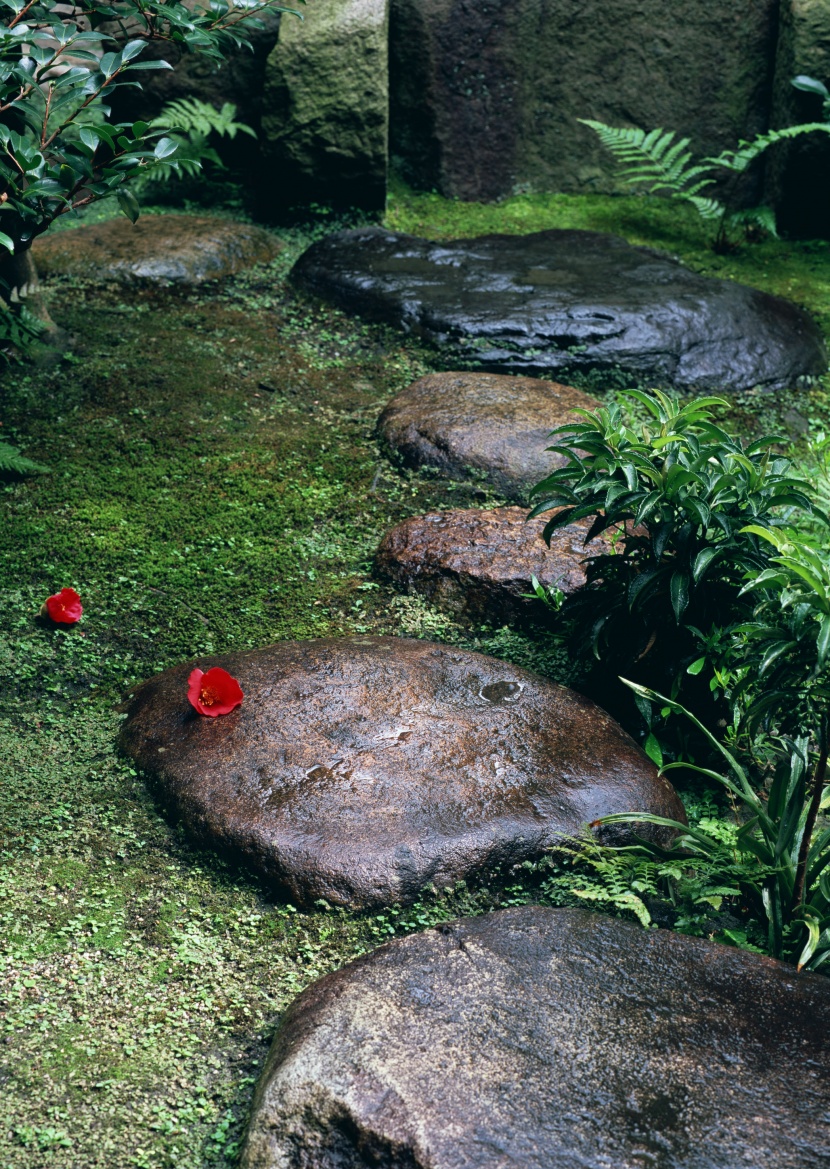 日式庭院小石路图片(11张)