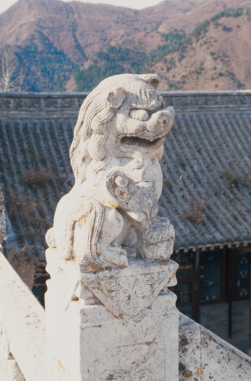 石狮子图片