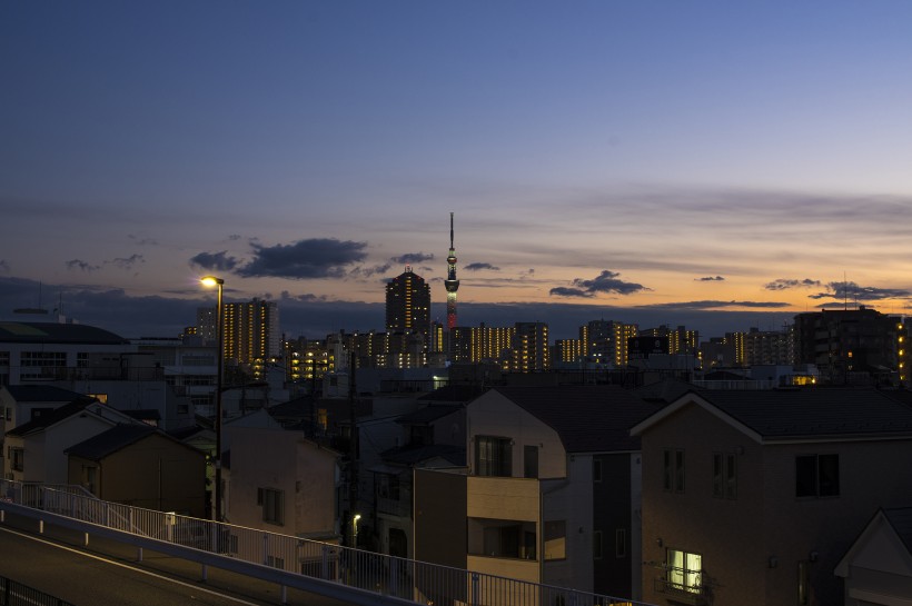 日本东京天空树图片