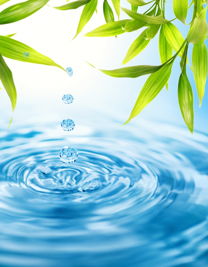 清新露水图片