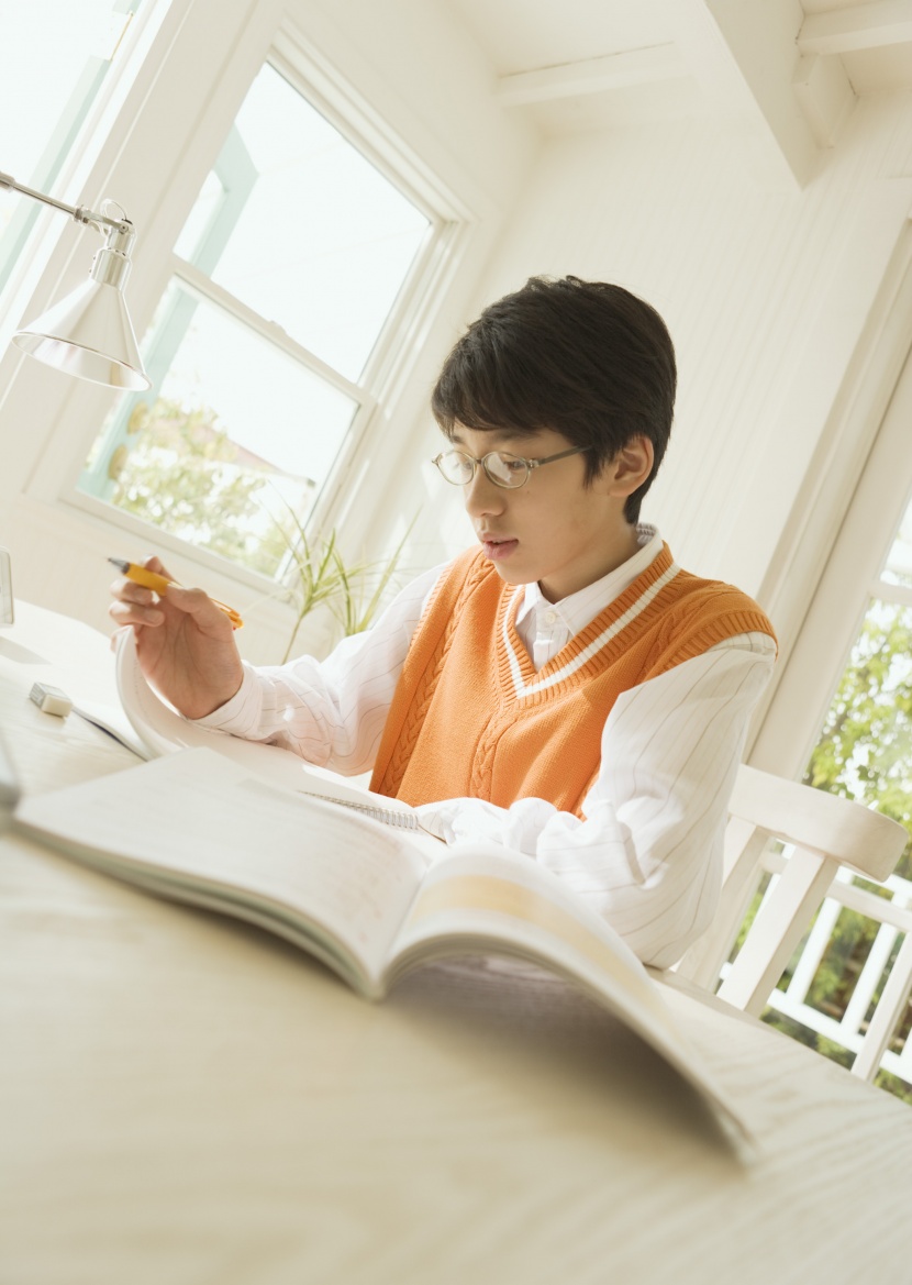 青少年学习上网图片