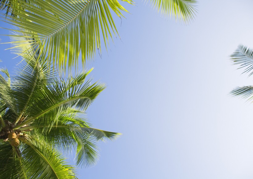 海滩泳装少女图片