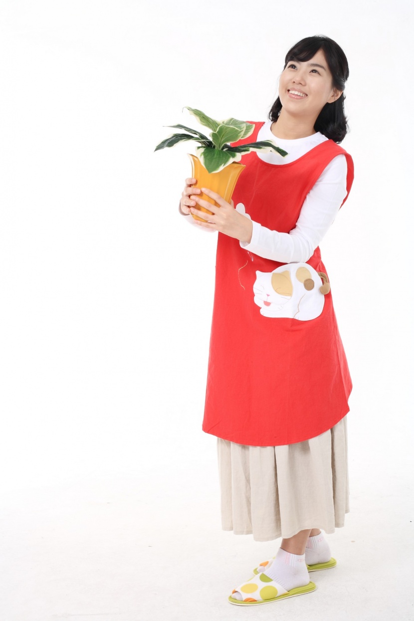 快乐家庭主妇图片