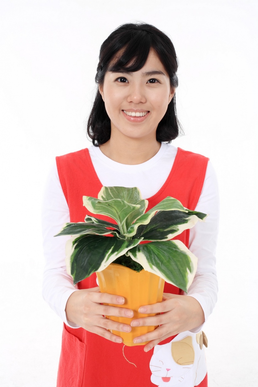 快乐家庭主妇图片