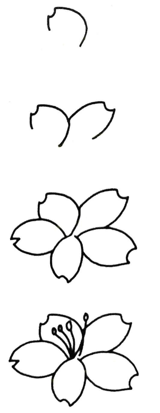 一朵樱花简笔画