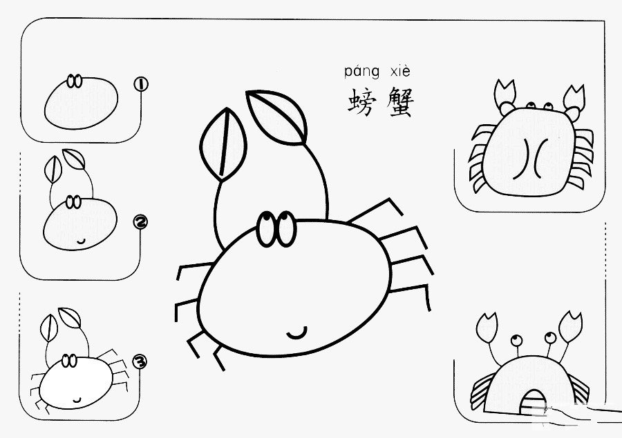虾蟹简单画法图片