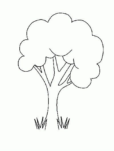 春天的大树简笔画插图图片