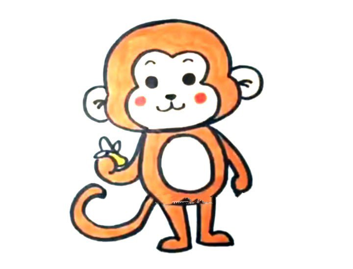 猴子简笔画上色简单图片