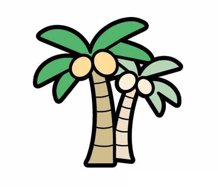 大王椰树简笔画图片