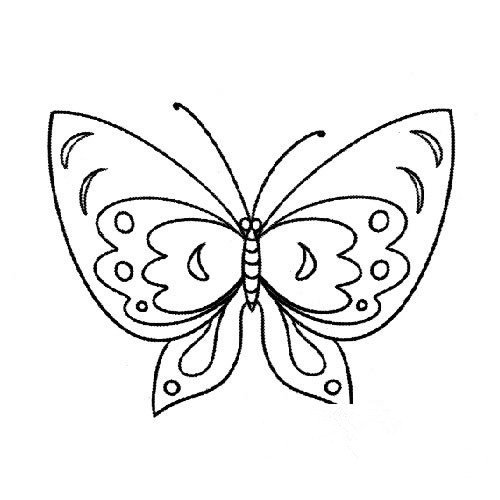 对称轴蝴蝶简笔画图片