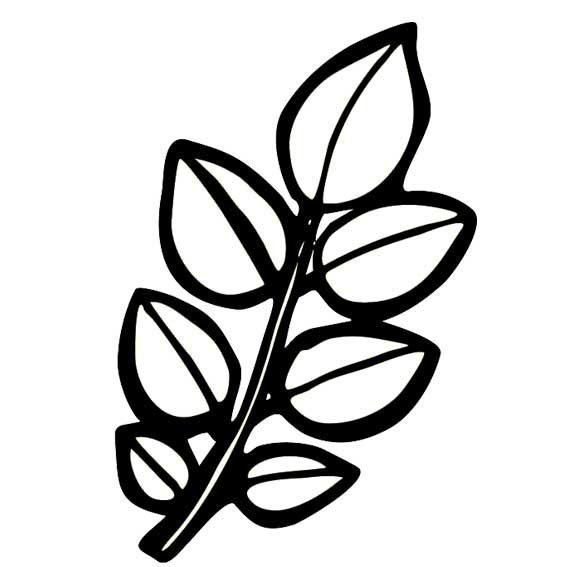 树叶形状简笔画简单图片