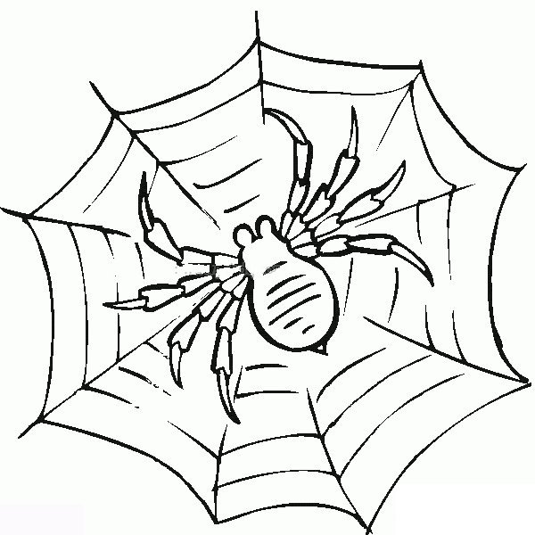 八眼蜘蛛简笔画图片