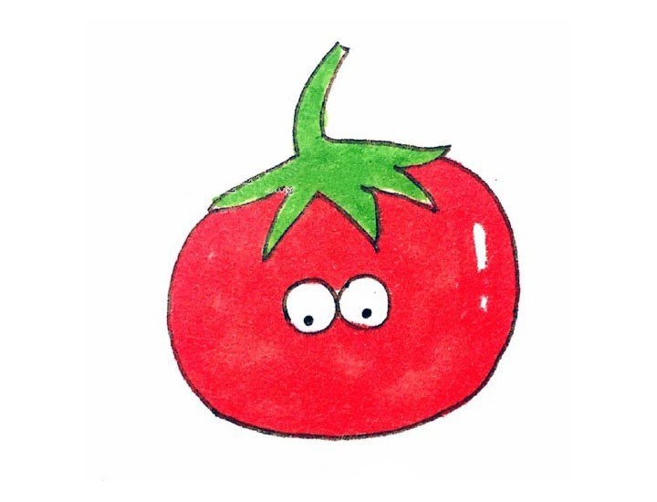 番茄简笔卡通画图片