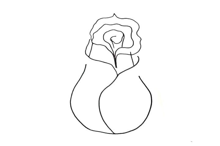 先画出玫瑰花的花苞