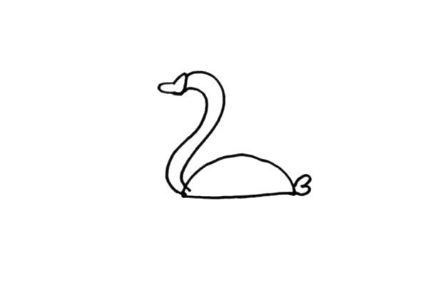 第二步:接着画小天鹅的身体和它短小的尾巴