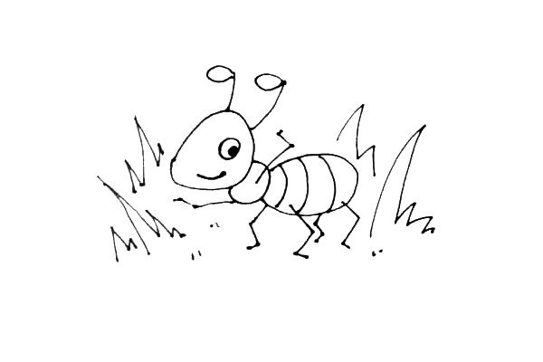 蚂蚁森林简笔画图片