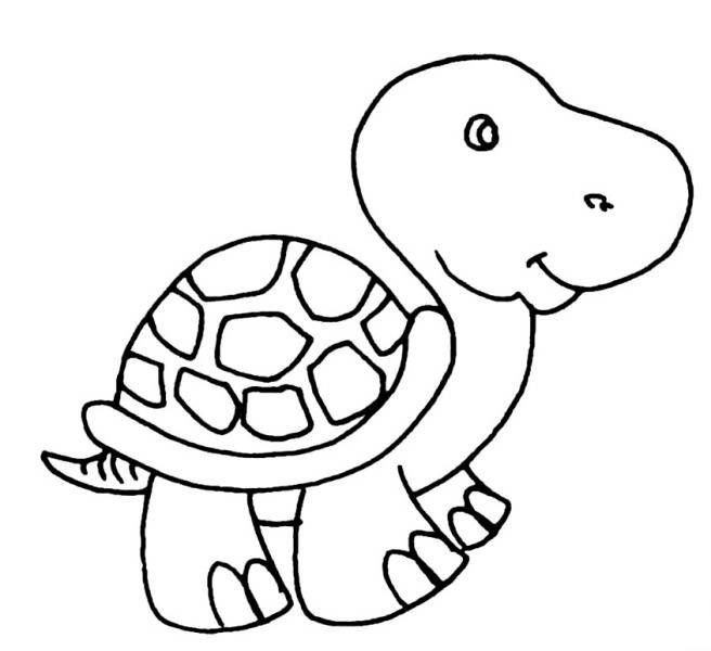 乌龟简笔画组图图片