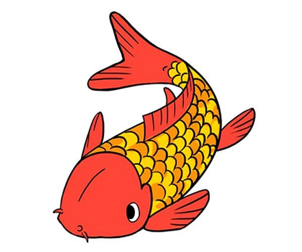 大红鲤鱼简笔画涂色图片