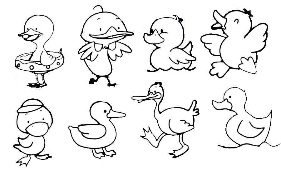 小鸭子画法顺口溜图片