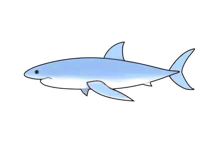 大白鲨简笔画怎么画