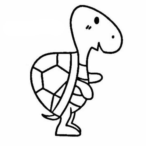 站立的乌龟简笔画图片
