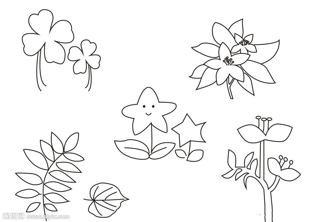 春天里的植物简笔画图片