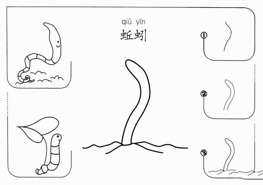 蚯蚓画法图片