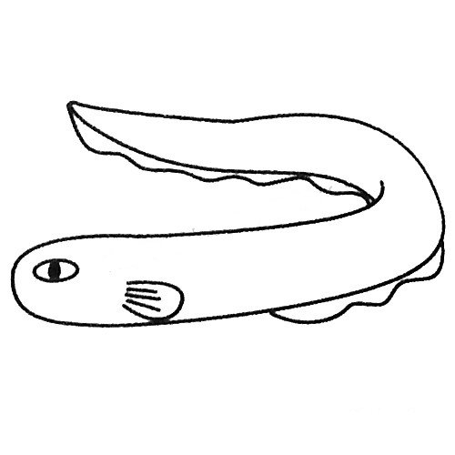 鳝鱼的简笔画法图片