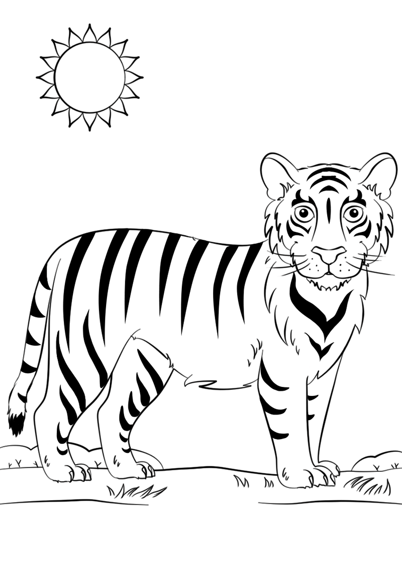 虎的简笔画法 霸气图片