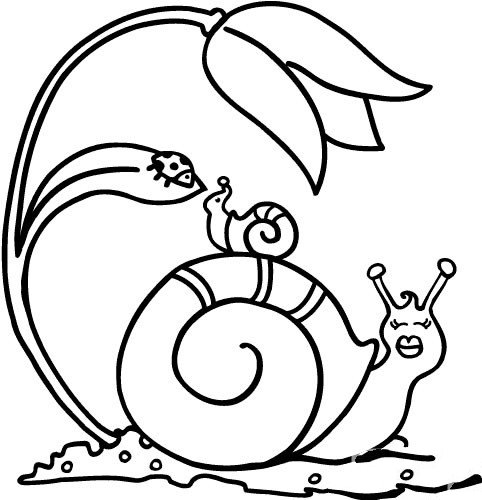 小蜗牛爬树简笔画图片