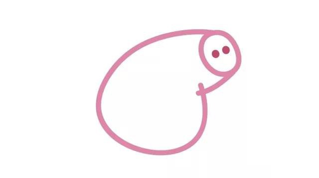 27.画佩奇的头部