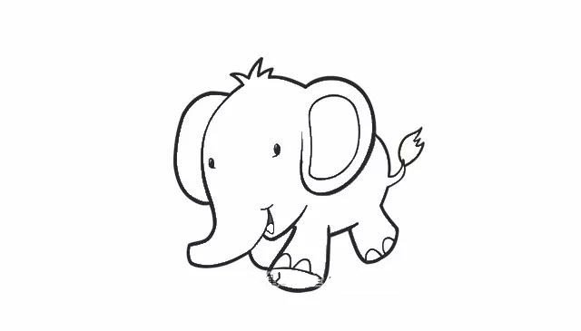 第四步  画出大象的两个耳朵和眼睛
