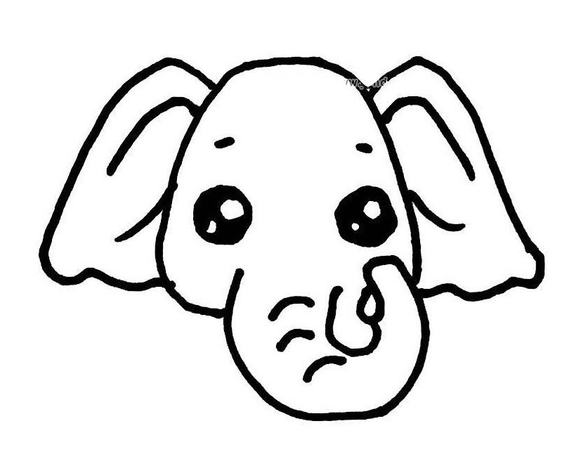 大象怎么画侧脸图片