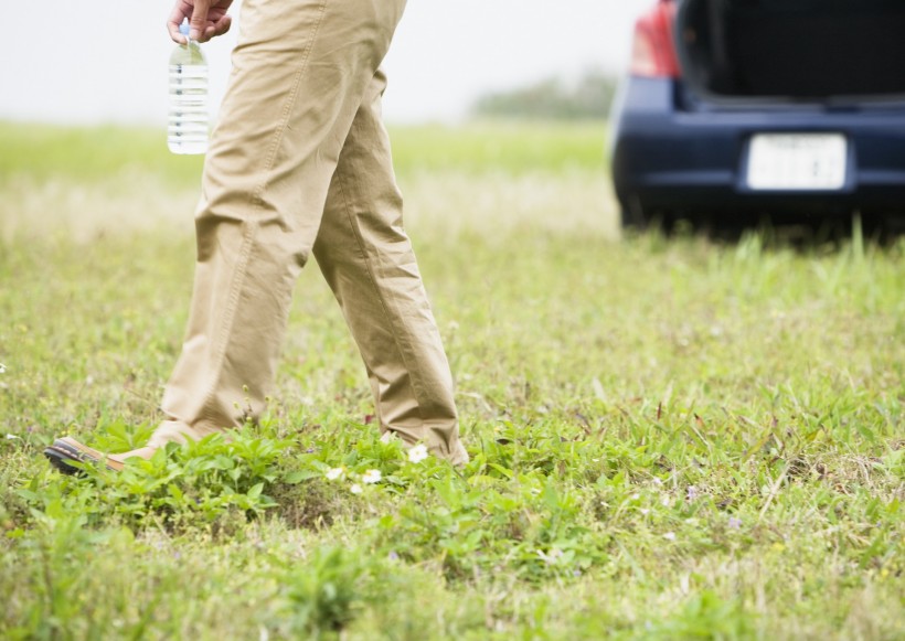 驾车出游的年轻人图片