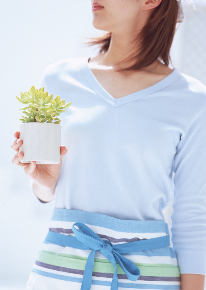 厨房里的女人图片