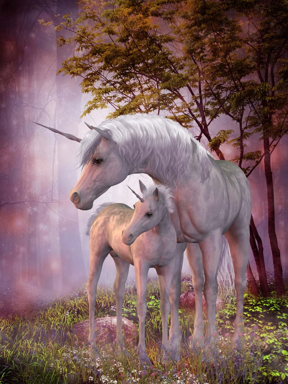 梦幻美丽的独角兽骏马壁纸图片